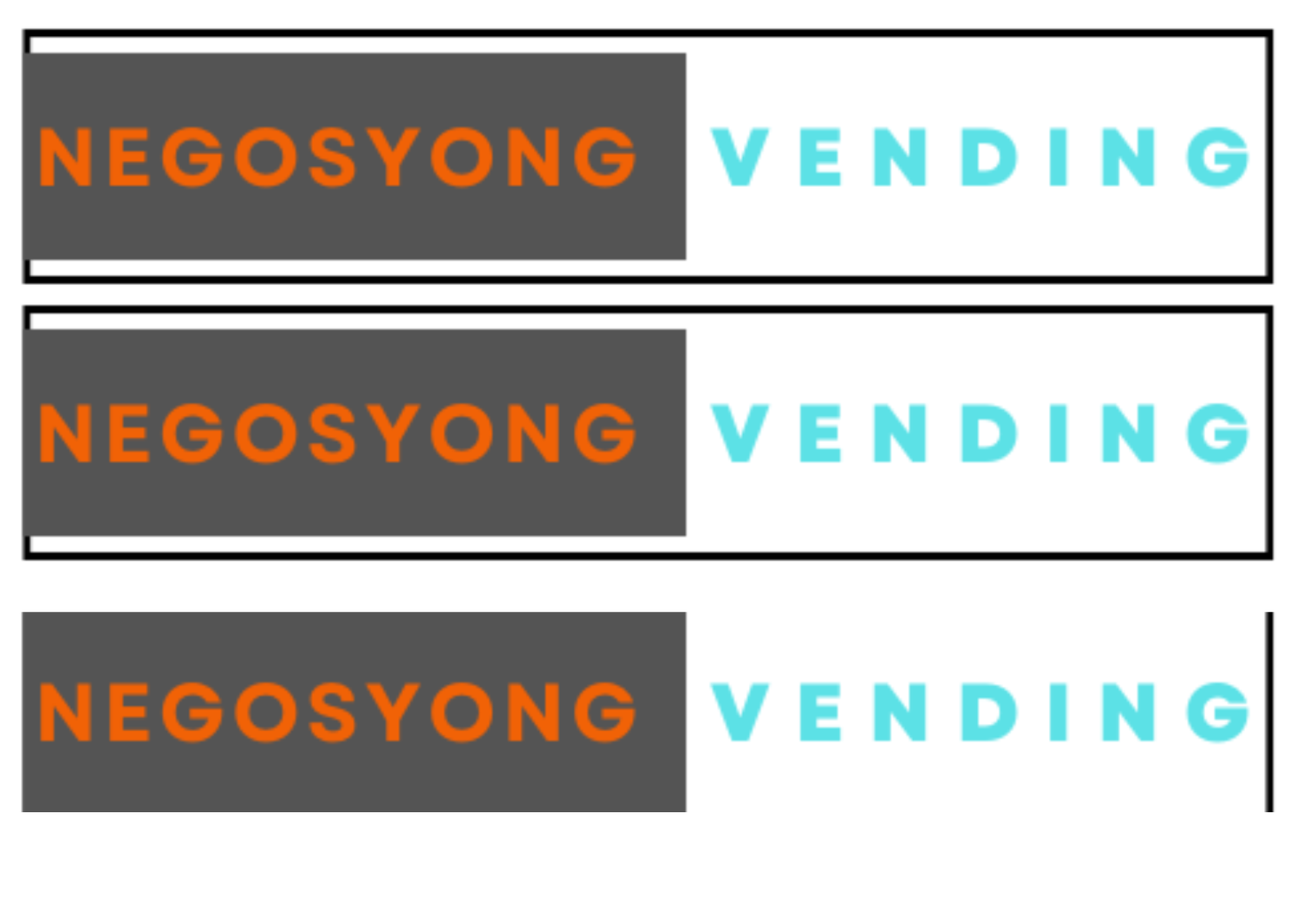 Our Company